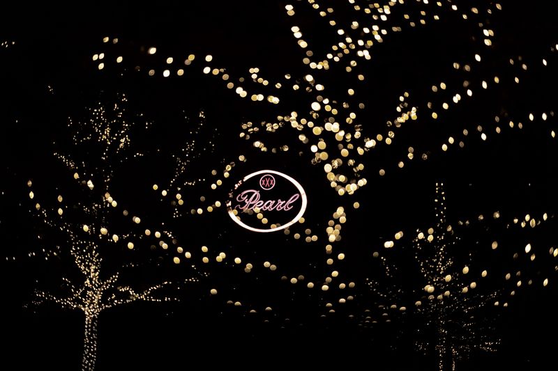 Pearl_ChristmasLights.jpg