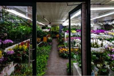 flowershope.jpg