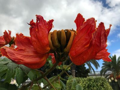 g13/46/67946/3/174696534.7548b5d1.JPEG