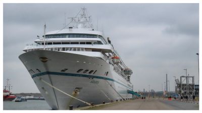 AMADEA - 1991 - IMO 8913162