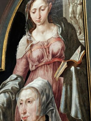 ALKMAAR - MAARTEN VAN HEEMSKERCK