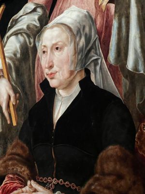 ALKMAAR - MAARTEN VAN HEEMSKERCK