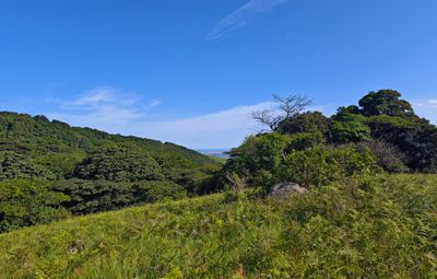 Ngoye Forest Reserve