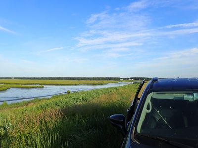 Birding from the car