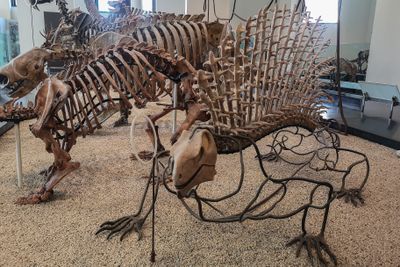 American Museum of Natural History