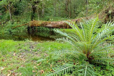 Eaglenest Wildlife Sanctuary