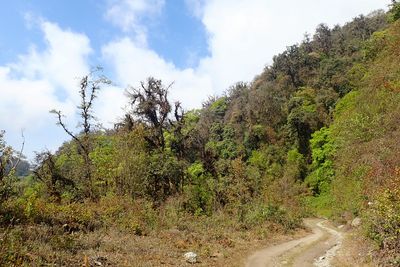 Eaglenest Wildlife Sanctuary