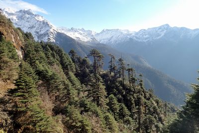 En route Senge to Sela Pass