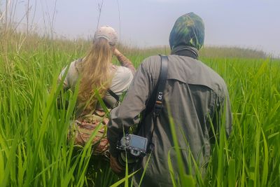 Grassland birding
