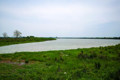 Kaziranga National Park