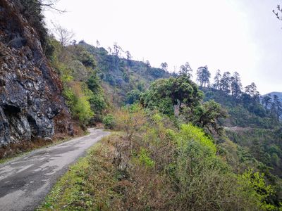 Mandala Road