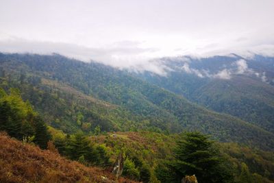 View from Mandala Road