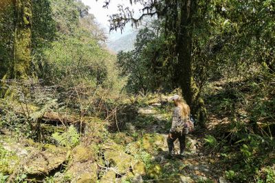 Nature Conservation and Tragopan Sanctuary