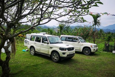 Our cars