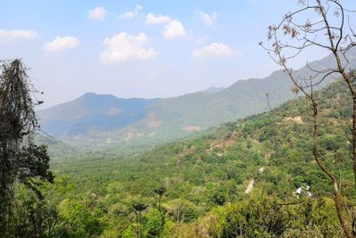 Road Jotsoma to Dzuleke