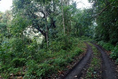 Eaglenest Wildlife Sanctuary