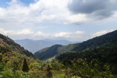 Eaglenest Wildlife Sanctuary