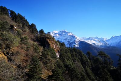 En route Senge to Sela Pass