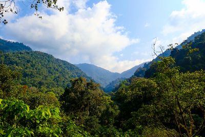 Eaglenest Wildlife Sanctuary