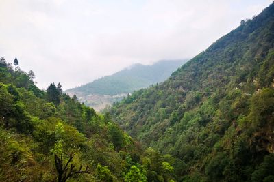 Mountain view