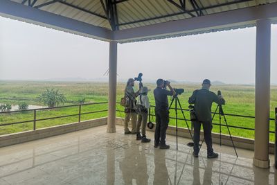 Viewing platform