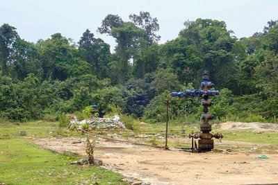 Digboi-5010146.jpg