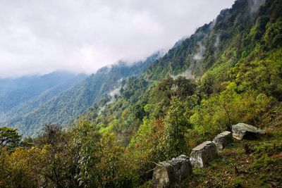 Mishmi hills-141919.jpg