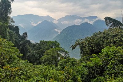 scenery-153008.jpg