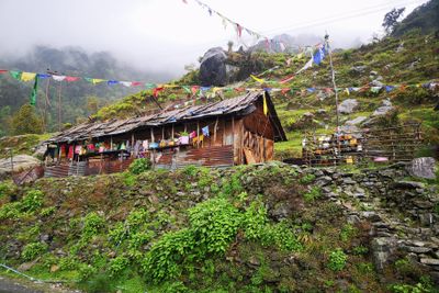 tin house-112158.jpg