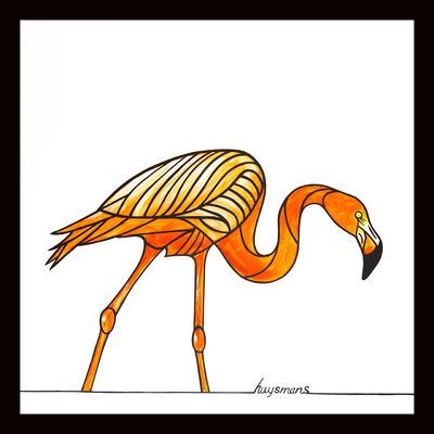 Flamingo