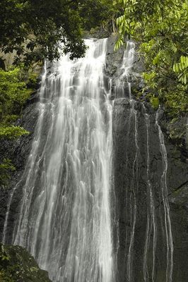 Yunque-045.jpg