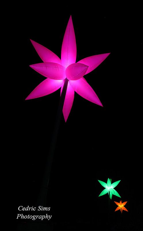 Artis: Bill Kennedy Artwork: Petalous