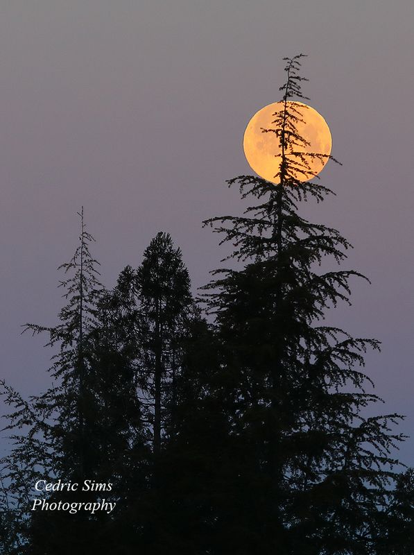 March Moonset