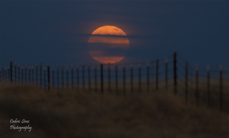 June Strawberry Full Moon