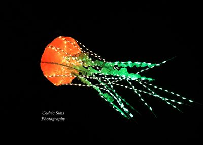 Artis:OGE Group Artwork: Jellies of the sky