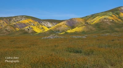 Carrizo Plain