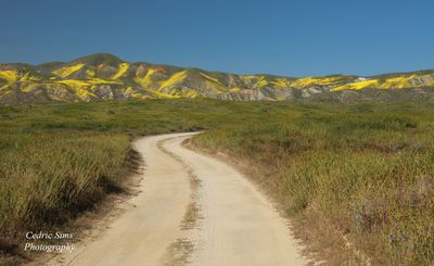 Carrizo Plain