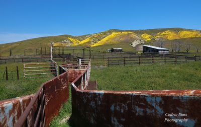 Carrizo Plain