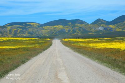 Carrizo Plain