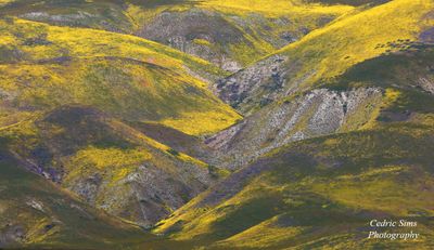 Carrizo Plain