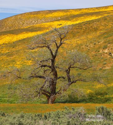   View from Highway 58