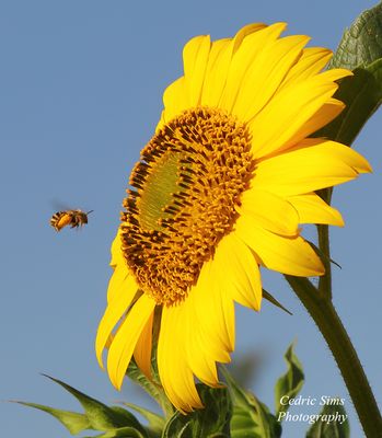 196A8871.jpg