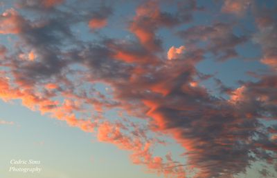 Backyard Sunset