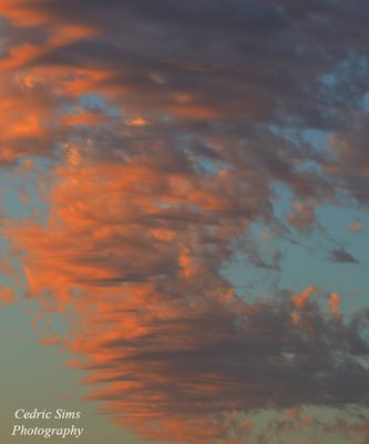 Backyard Sunset