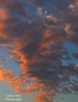  Backyard Sunset