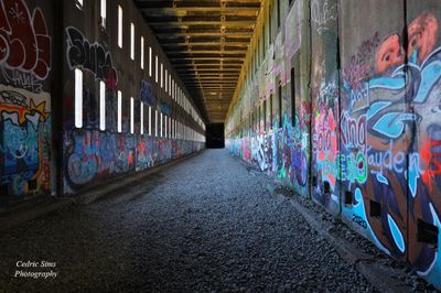   Donner Pass Train Tunnels