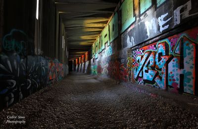  Donner Pass Train Tunnels