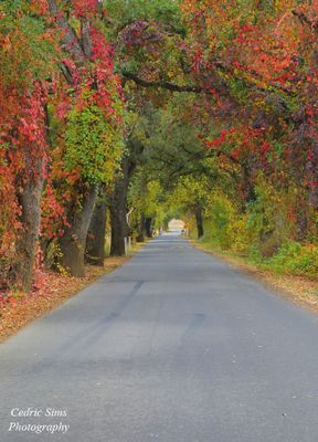 196A0788_edit3_crop4_pbase.jpg