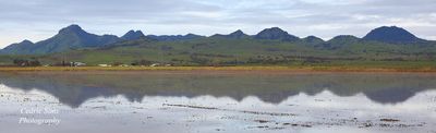  Sutter Buttes 2024