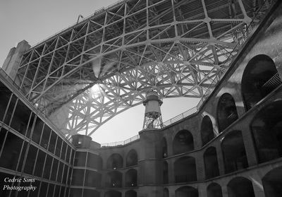 1R6A9898__crop1__noisepbase_bw.jpg